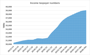 income taxpayer numbers